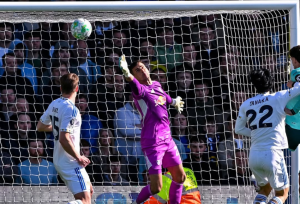 Leeds United vs Wolves 3-0 Leeds Makin Jauh dari Zona Degradasi